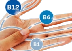 Vitamins B12, B6, and B1