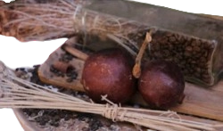 Whole Coffee Fruit Extract