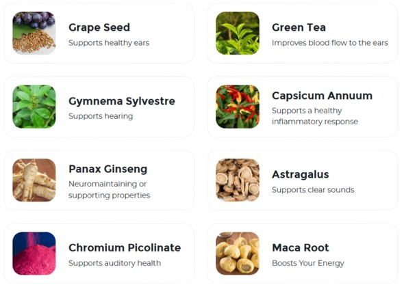 ZenCortex Key Ingredients