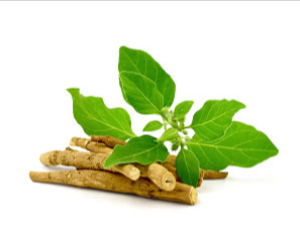 Alpha-Surge Ashwagandha Extract