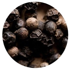 Bioperine