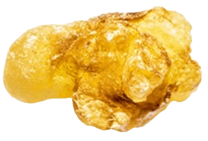 Boswellia Serrata