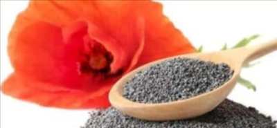 California Poppy (Poppy Seed)