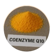Coenzyme Q10 (Ubiquinone)