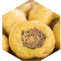 Maca Root