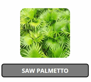 Nitric-Recover Saw Palmetto