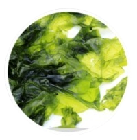 Nori Yaki Extract Powder
