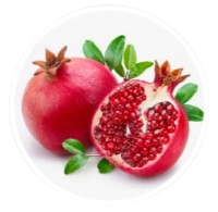 Pomegranate Extract