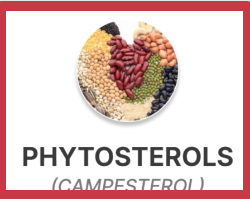 ProstaPure Phytosterols