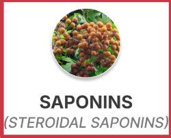 ProstaPure Saponins