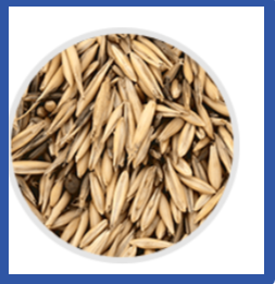 Semenax Avena Sativa Extract